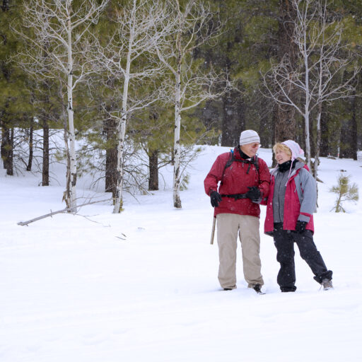 Seniors should stay active during the winter when possible.