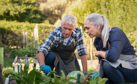 Senior couple working in community gardens