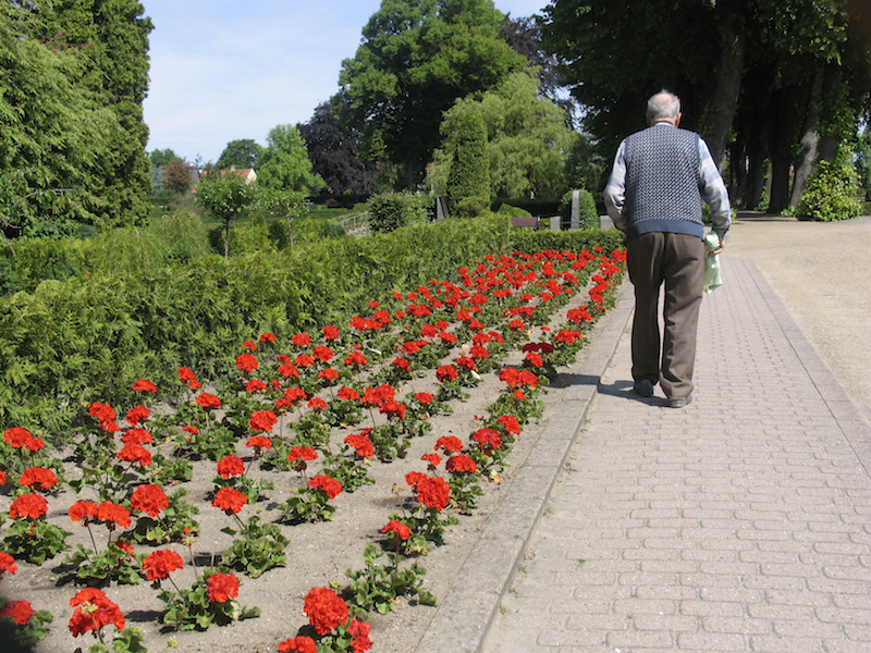 Senior man walking down path | How to Cope with a Parent with Dementia