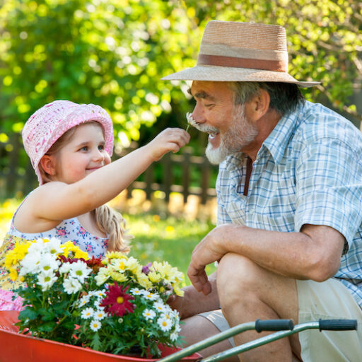 A grandfather and granddaughter participate in an intergenerational activity, gardening