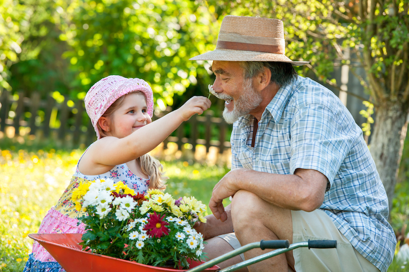 A grandfather and granddaughter participate in an intergenerational activity, gardening