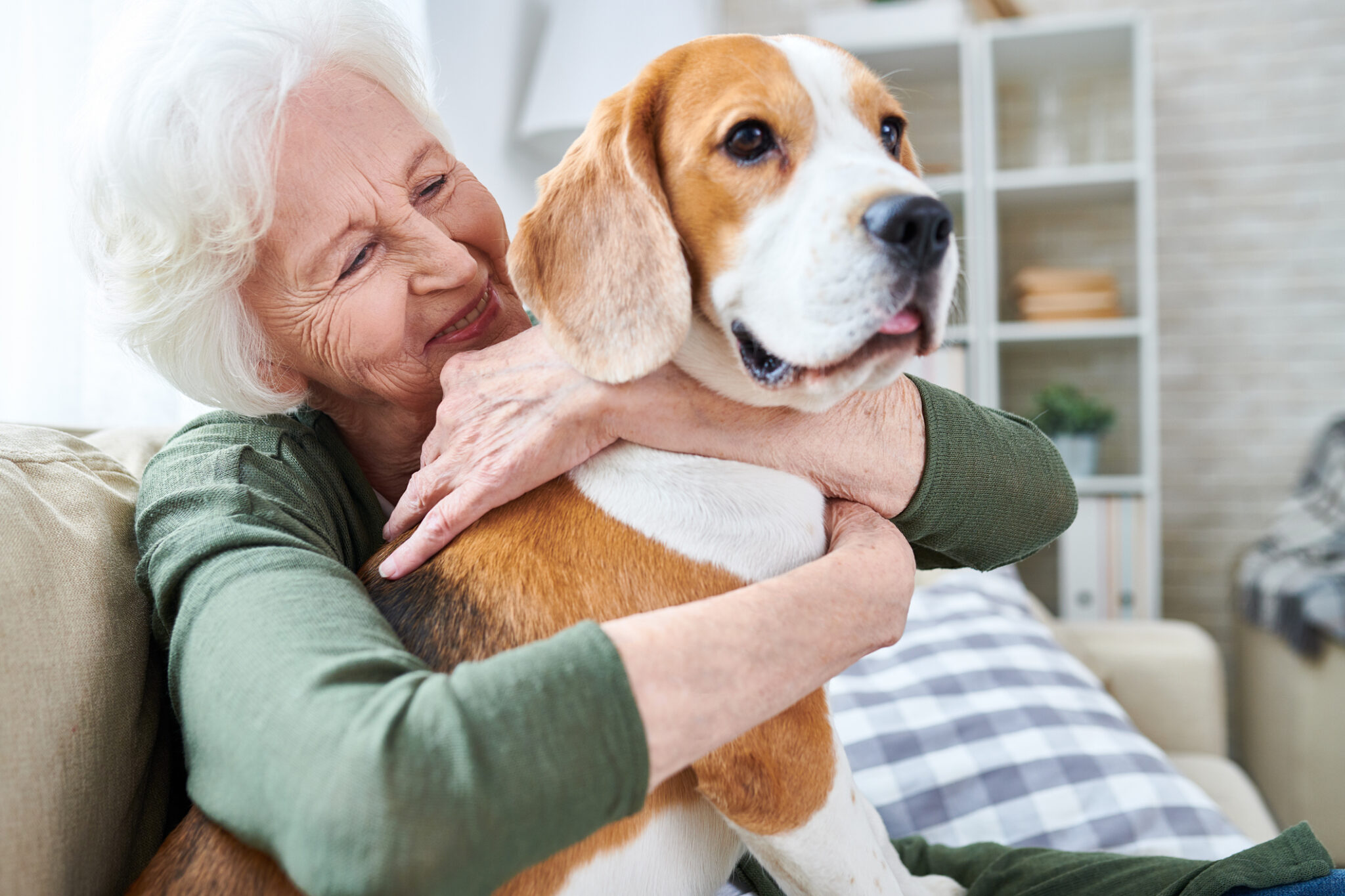 How Dogs Can Help Improve Health and Ease Loneliness and Depression for ...