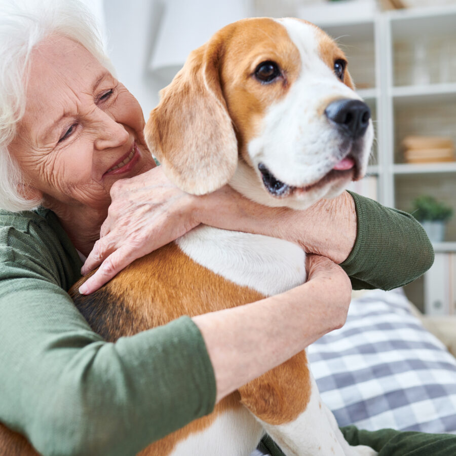 Dogs can help improve health in seniors and prevent loneliness