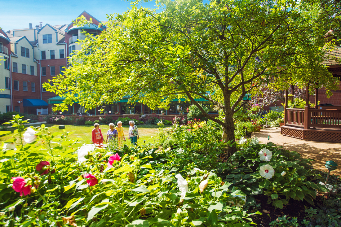 Bethesda Orchard gardens with a big tree in the foreground