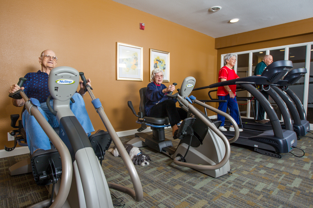 Village North gym with ellipticals