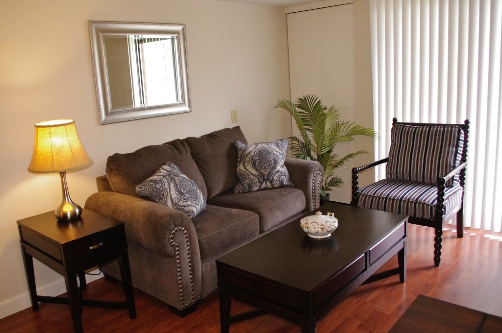 Village North apartment living room seating area