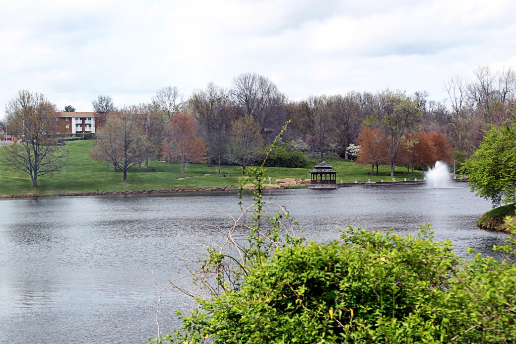 Village North pond with fountain