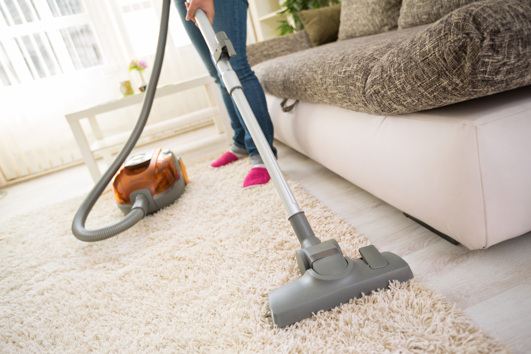 professional Carpet Cleaning in Geelong 
