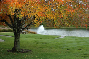 Village North outdoor view of pond with fountain