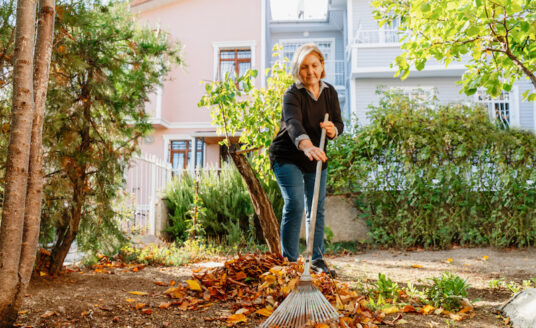 Senior woman raking leaves in her lawn as an item of her lawn care checklist