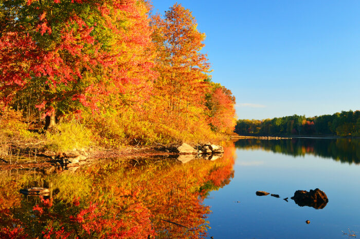 10 Best Spots for Fall Foliage in St. Louis | Bethesda Health Group