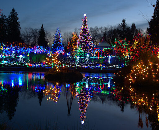 A christmas lights display glistens over a pond as one of many fantastic holiday activities in St. Louis