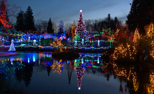 A christmas lights display glistens over a pond as one of many fantastic holiday activities in St. Louis