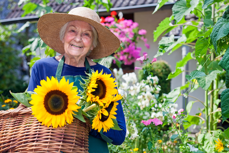 Older woman with a basket full of sunflowers and practicing summer safety tips by wearing a hat