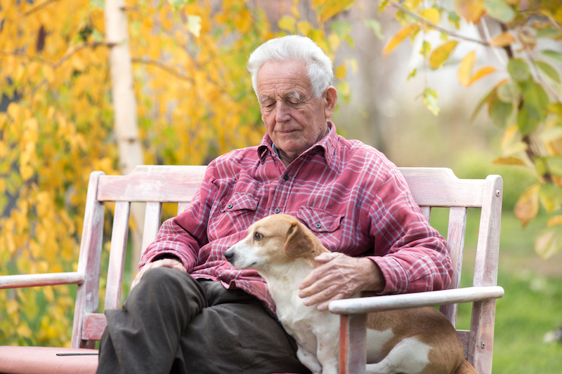 Senior man with dog working on handling grief