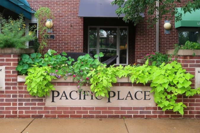 Outdoor view of Pacific Place building with green sweet potato vine