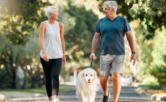 Retirement, fitness and walking with dog and couple in neighborhood park for relax, health and sports workout. Love, wellness and pet with old man and senior woman in outdoor morning walk together Con licencia ARCHIVO N.°: 536583618 Previsualizar recorte Buscar similares DIMENSIONES 6875 x 4856px TIPO DE ARCHIVO JPEG CATEGORÍA Deportes TIPO DE LICENCIA Estándar o Extendido Retirement, fitness and walking with dog and couple in neighborhood park for relax, health and sports workout.