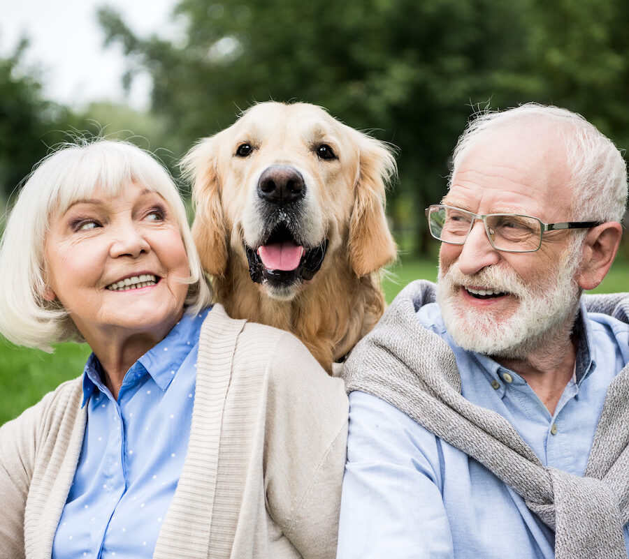 smiling senior couple looking at adorable dog while resting in park