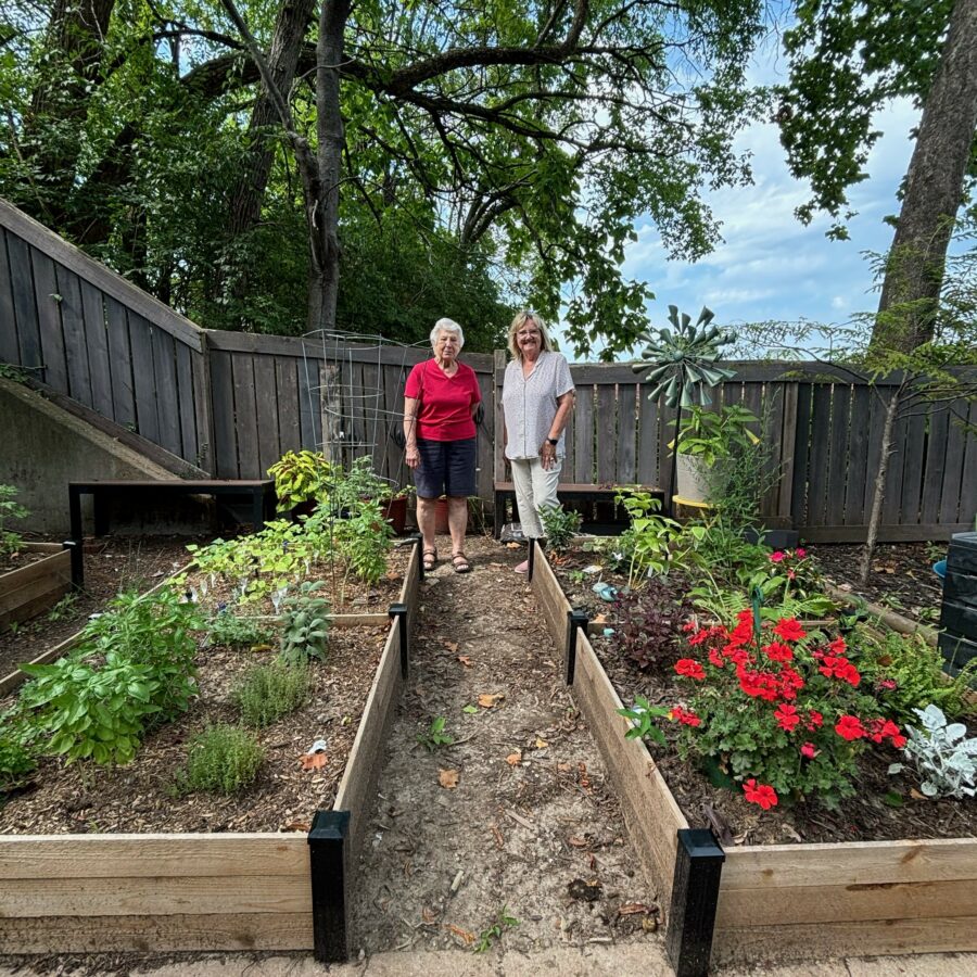 Raised garden beds at Pacific Place