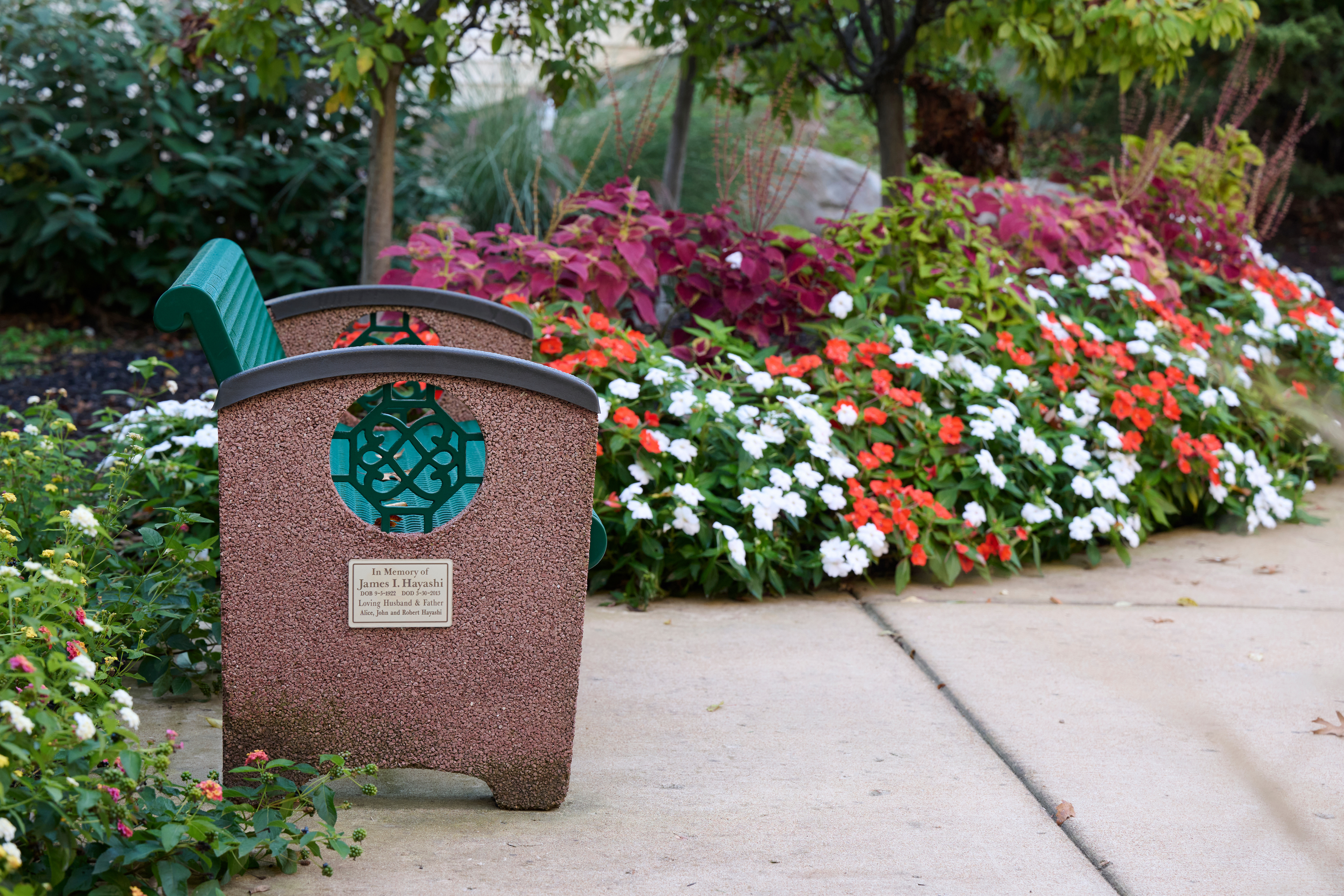 Bethesda Terrace bench and outdoor landscaping