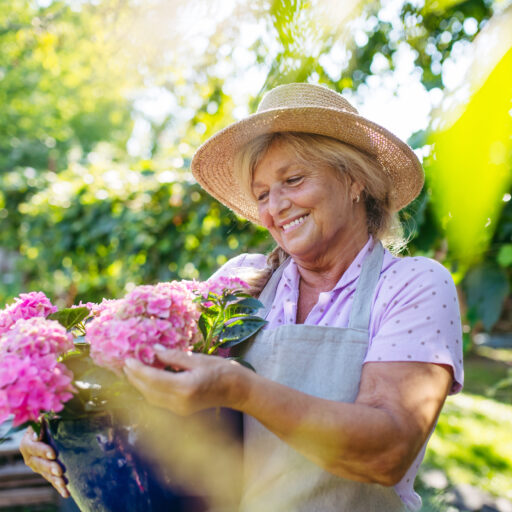 Senior woman admiring flowers as she takes part in gardening for seniors