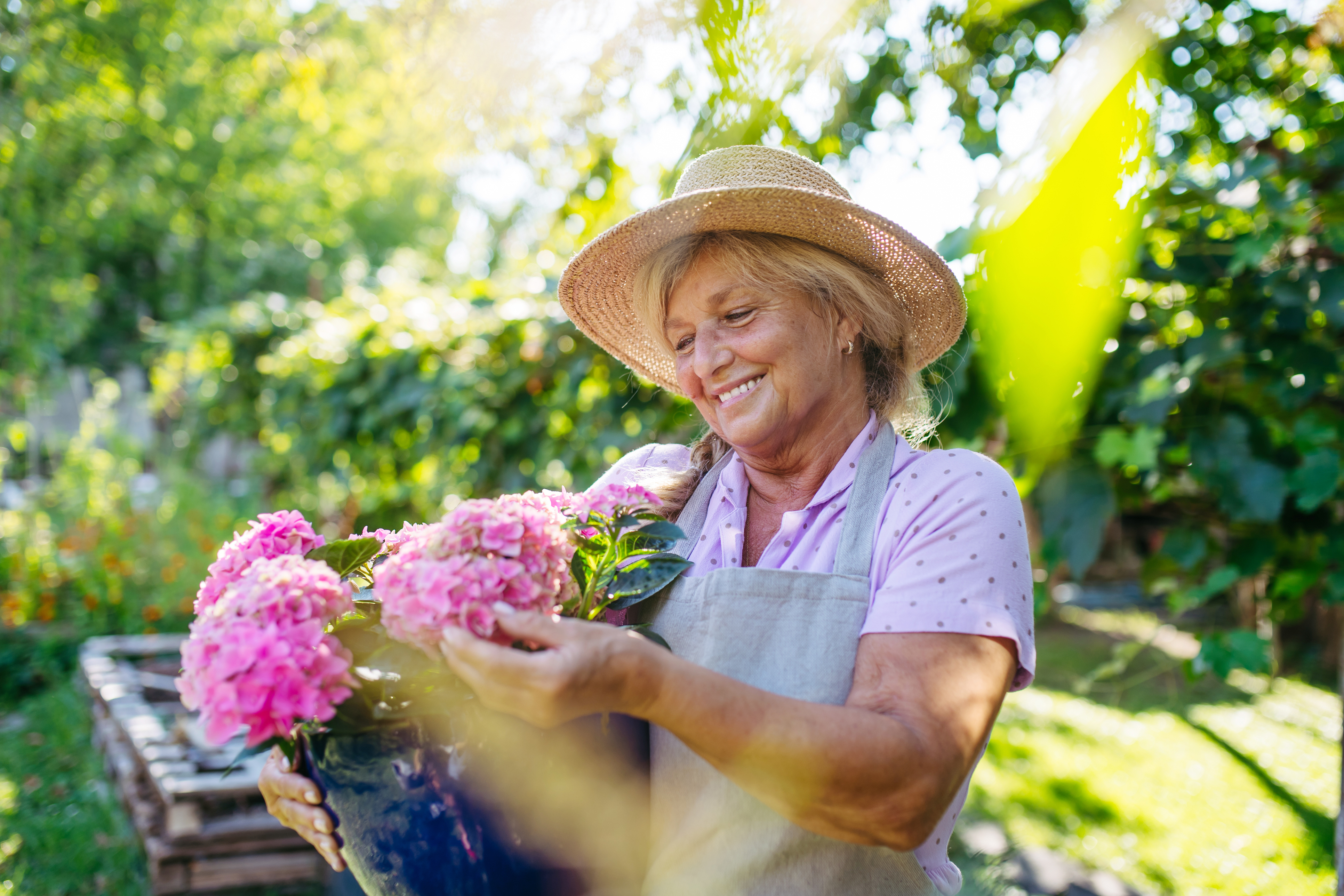 Gardening for Seniors: Practical Spring Planting Tips - Bethesda Health ...