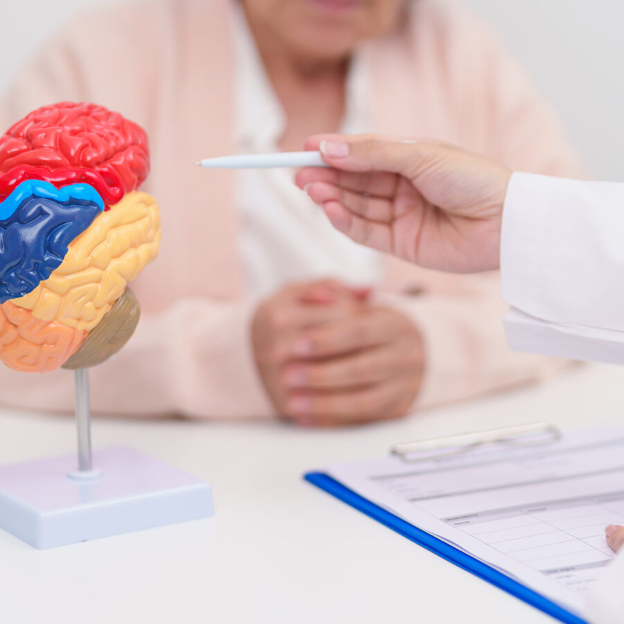 Doctor pointing to model of brain during memory loss test with senior patient