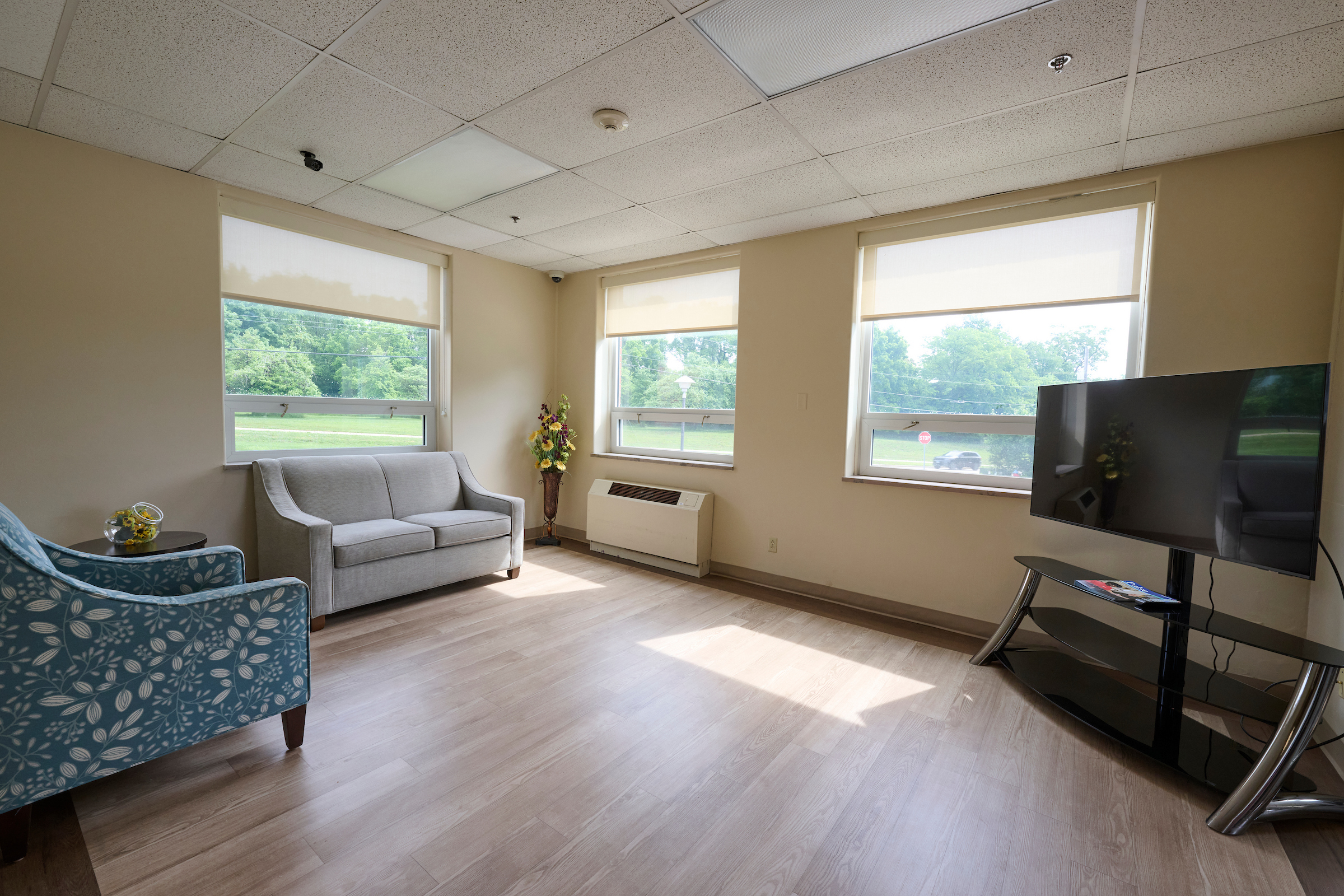 Bright living room with beige walls, large windows, and light wood floors; gray sofa and blue floral chair facing a TV on a glass stand.