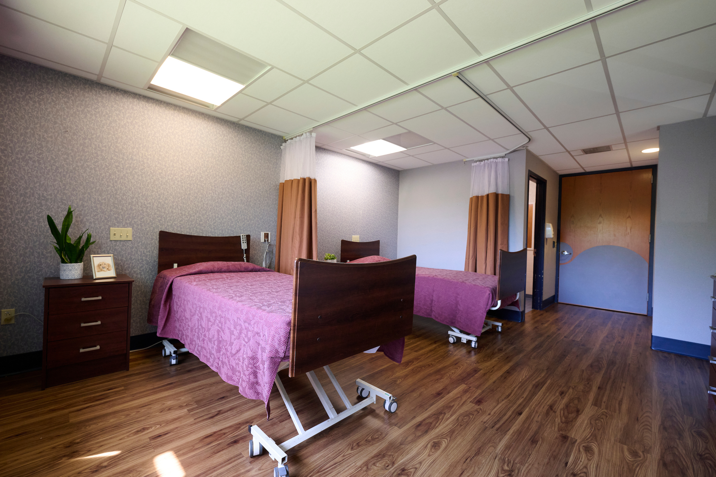 Wide-angle view of a hospital recovery room with two adjustable beds in purple bedspreads, privacy curtains, a wooden nightstand with a plant and photo, and wood-like flooring.