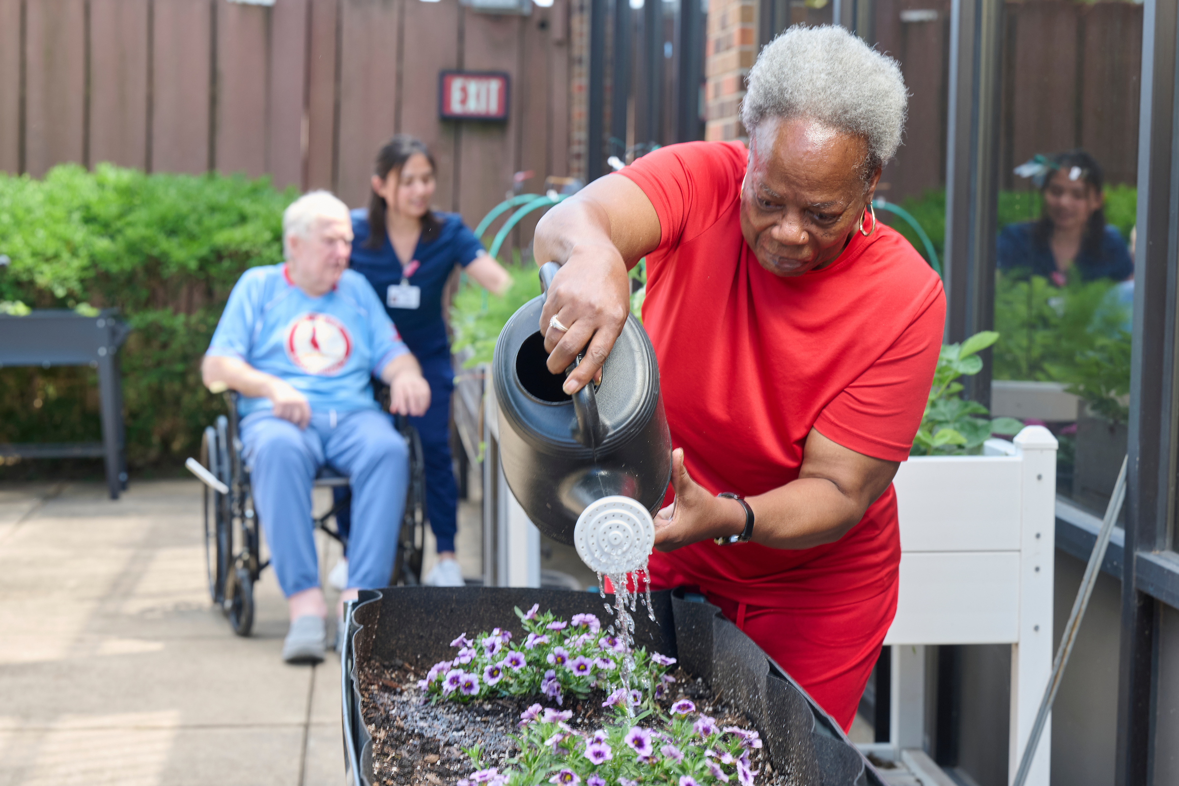 Woman in a red shirt waters purple flowers from a black watering can in a planter outdoors, with an elderly man in a wheelchair and a caregiver in the background.